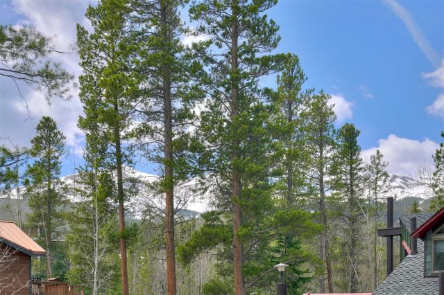173 Lone Hand Way photo 35