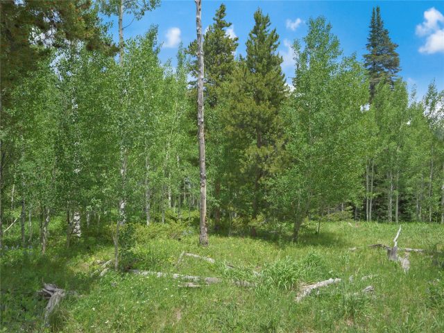 616 Aspen Drive photo 11