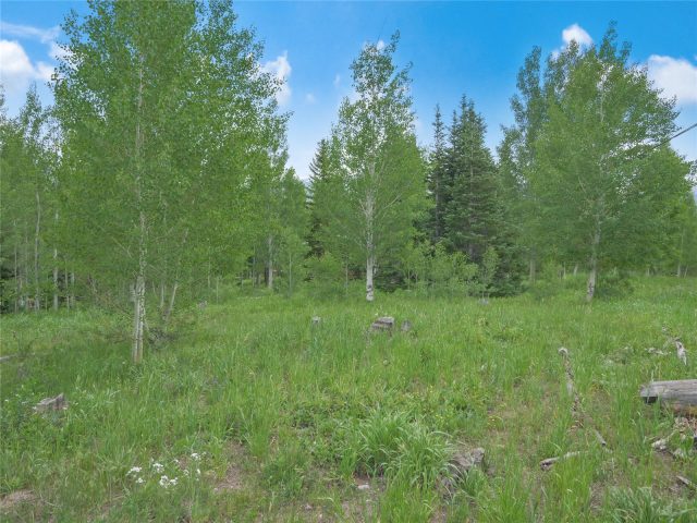 616 Aspen Drive photo 12