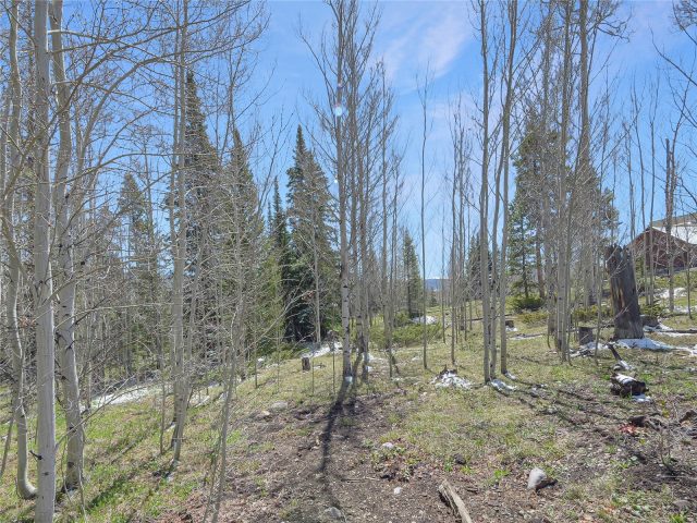 616 Aspen Drive photo 14