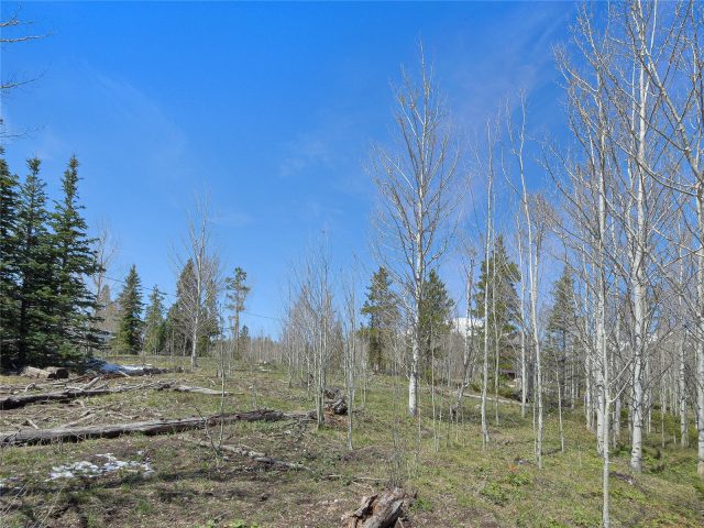 616 Aspen Drive photo 15