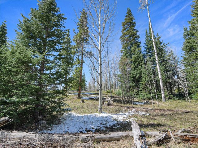 616 Aspen Drive photo 16