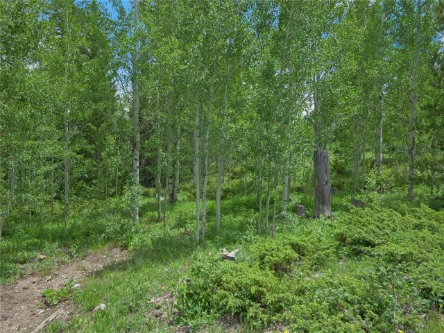616 Aspen Drive photo 20