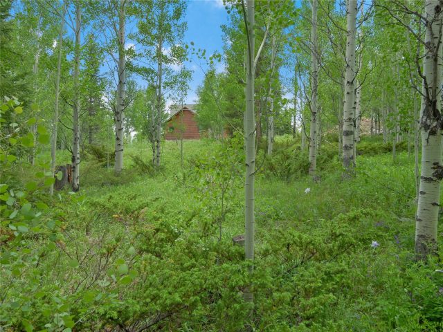 616 Aspen Drive photo 21