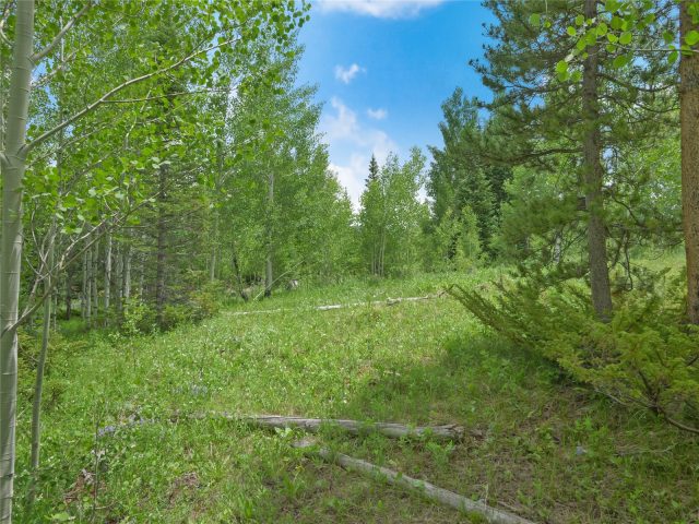 Land in Mesa Cortina Sub, Silverthorne, CO — photo 2 (MLS S1068052)