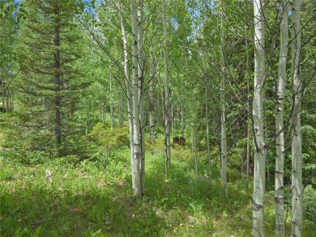 Land in Mesa Cortina Sub, Silverthorne, CO — photo 3 (MLS S1068052)