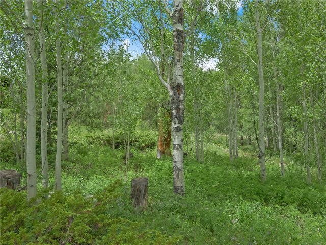 Land in Mesa Cortina Sub, Silverthorne, CO — photo 5 (MLS S1068052)