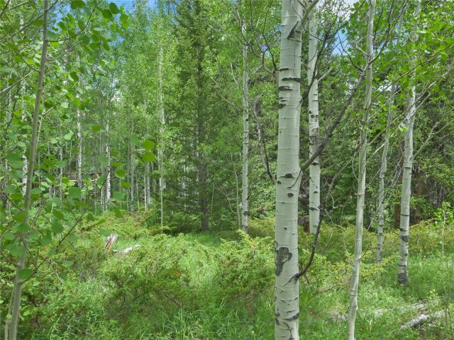 616 Aspen Drive photo 7