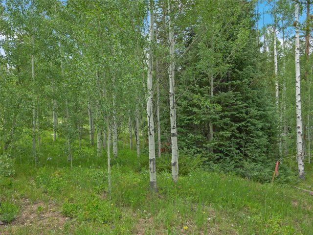 616 Aspen Drive photo 9