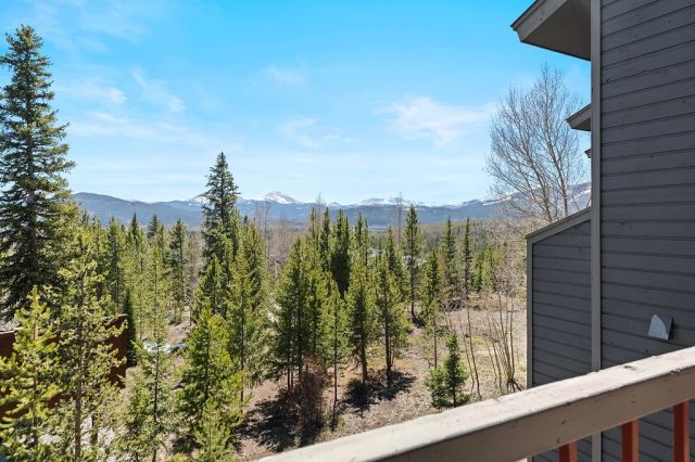 9401 Ryan Gulch Road 23 photo 9