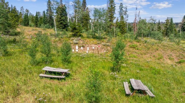 Residential in Spring Creek Ranch Sub, Silverthorne, CO — photo 6 (MLS S1068128)