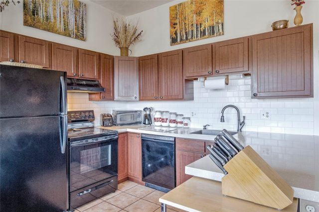 9800 Ryan Gulch Road A-101 photo 10