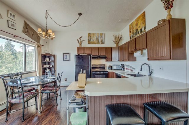 9800 Ryan Gulch Road A-101 photo 11