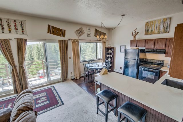 9800 Ryan Gulch Road A-101 photo 12