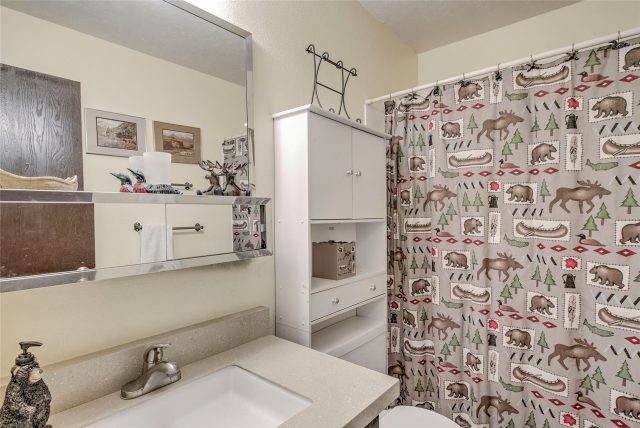 9800 Ryan Gulch Road A-101 photo 16