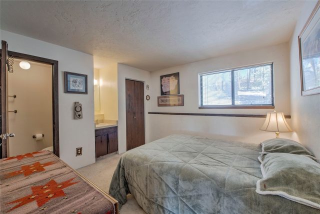 9800 Ryan Gulch Road A-101 photo 17