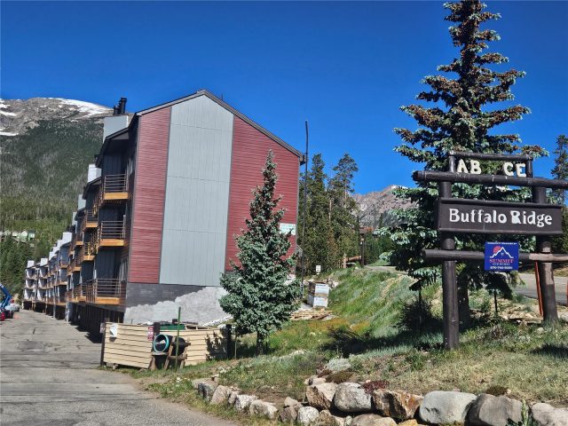 Condo in Buffalo Ridge Condo, Silverthorne, CO — photo 2 (MLS S1068142)