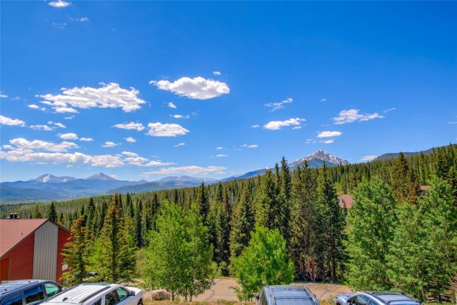 Condo in Buffalo Ridge Condo, Silverthorne, CO — photo 3 (MLS S1068142)
