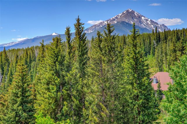 Condo in Buffalo Ridge Condo, Silverthorne, CO — photo 4 (MLS S1068142)