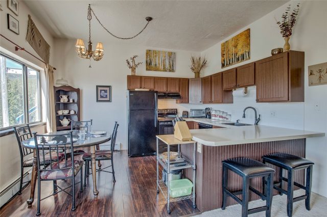 9800 Ryan Gulch Road A-101 photo 9