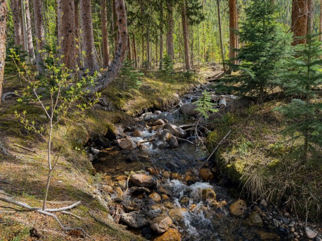 189 Tip Top Trail 6562 photo 10