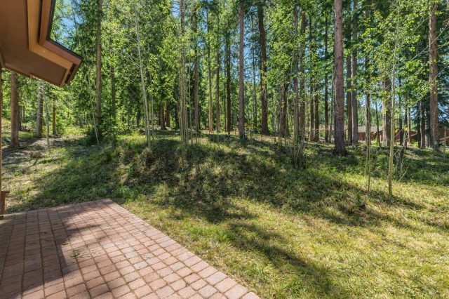 189 Tip Top Trail 6562 photo 8
