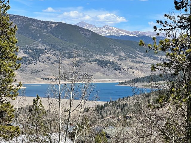 Condo in Treehouse Condo, Silverthorne, CO — photo 1 (MLS S1068162)
