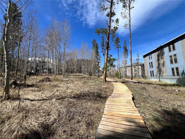 2100 Lodgepole Circle 202 photo 22