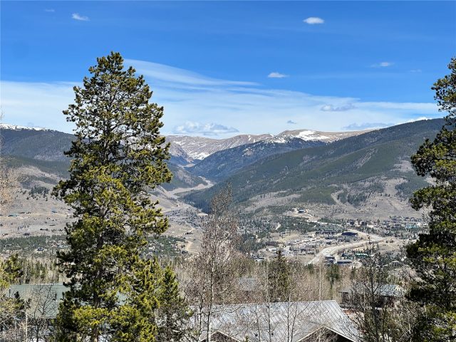 Condo in Treehouse Condo, Silverthorne, CO — photo 3 (MLS S1068162)