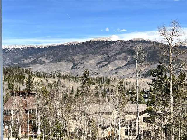 Condo in Treehouse Condo, Silverthorne, CO — photo 5 (MLS S1068162)
