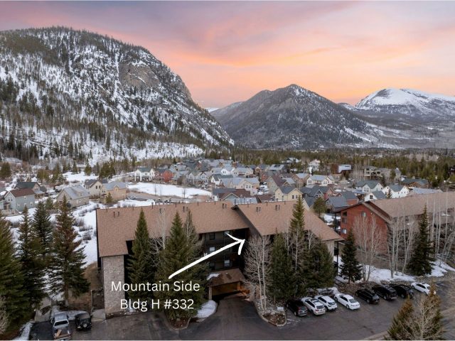 Condo in Mountain Side Condo, Frisco, CO — photo 5 (MLS S1068166)