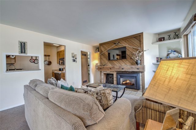 Condo in Flying Dutchman Condo, Keystone, CO — photo 2 (MLS S1068180)