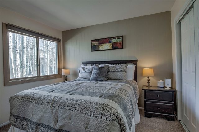 Condo in Flying Dutchman Condo, Keystone, CO — photo 6 (MLS S1068180)