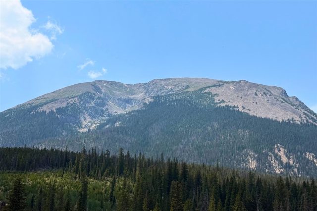 91300 Ryan Gulch Road 305 photo 28