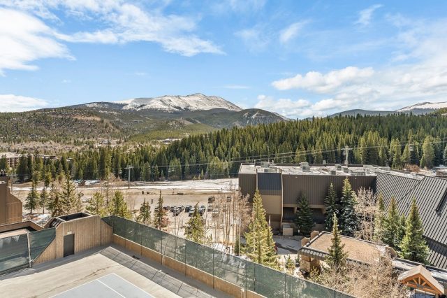 Condo in Beaver Run Condo, Breckenridge, CO — photo 3 (MLS S1068249)