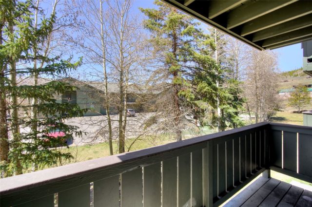 893 Straight Creek Drive 203 photo 10