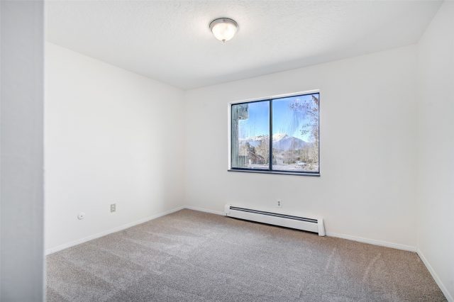 893 Straight Creek Drive 203 photo 16