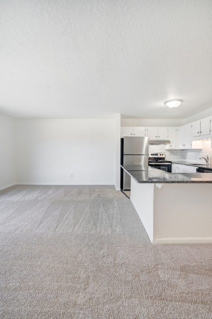 893 Straight Creek Drive 203 photo 3