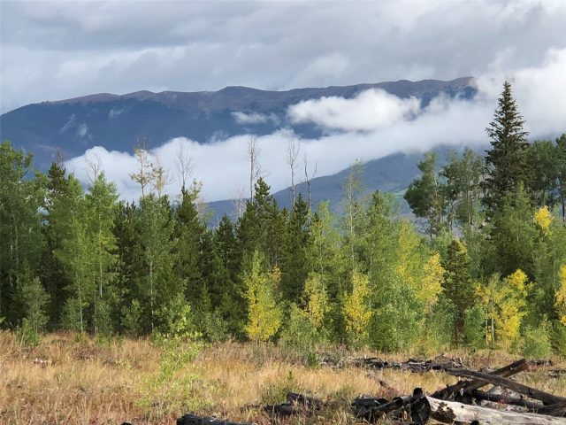 2510 Ryan Gulch Road 2512 photo 19