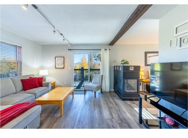 Condo in Now Colorado At Wld Cnd Aspen Shadow, Silverthorne, CO — photo 1 (MLS S1068294)