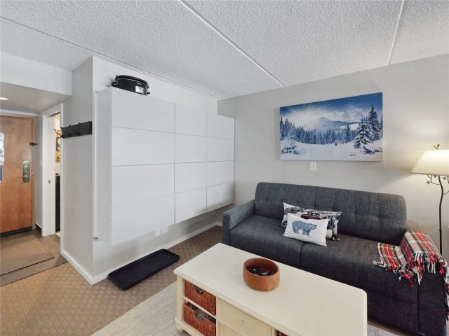 Condo in West Lake Lodge Condo, Copper Mountain — photo 5 Condo in West Lake Lodge Condo, Copper Mountain, CO — photo 5 (MLS S1068330)