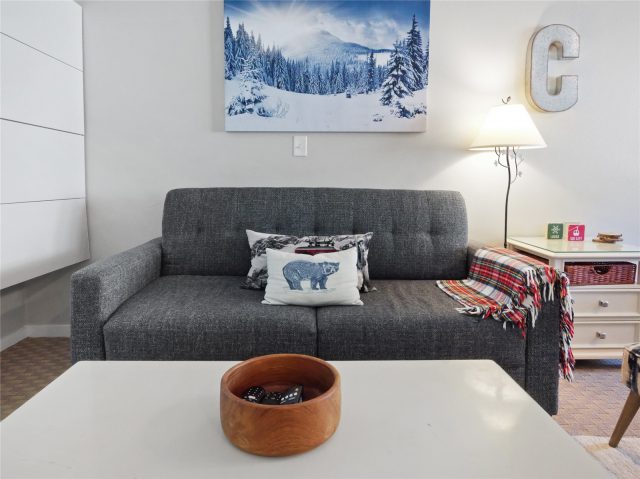 Condo in West Lake Lodge Condo, Copper Mountain, CO — photo 6 (MLS S1068330)