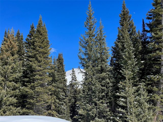 Land in Alpine Breckenridge Sub, Breckenridge, CO — photo 3 (MLS S1068344)