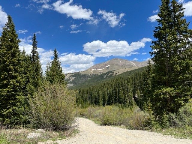 Land in Alpine Breckenridge Sub, Breckenridge, CO — photo 5 (MLS S1068344)