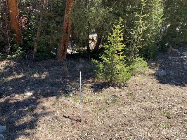 Land in Alpine Breckenridge Sub, Breckenridge, CO — photo 6 (MLS S1068344)