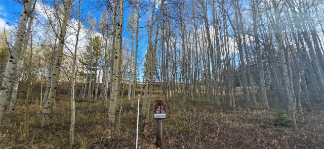 Land in Eagles Nest Golf Course Sub, Silverthorne, CO — photo 1 (MLS S1068373)