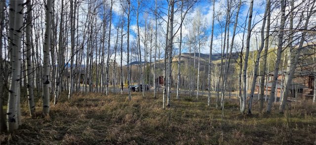 2180 Currant Way photo 22