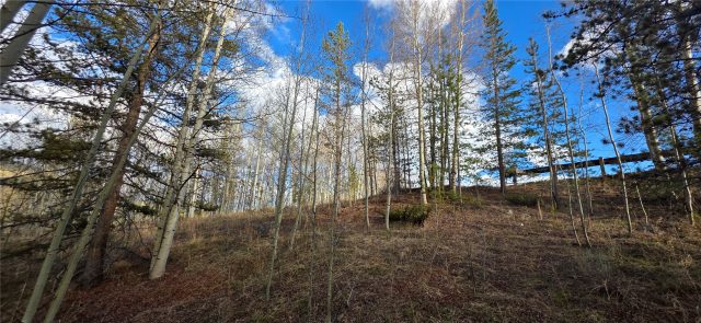 2180 Currant Way photo 25