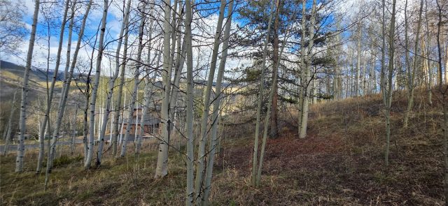 2180 Currant Way photo 26