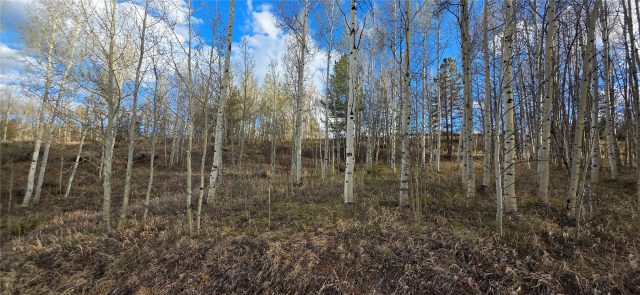 2180 Currant Way photo 27